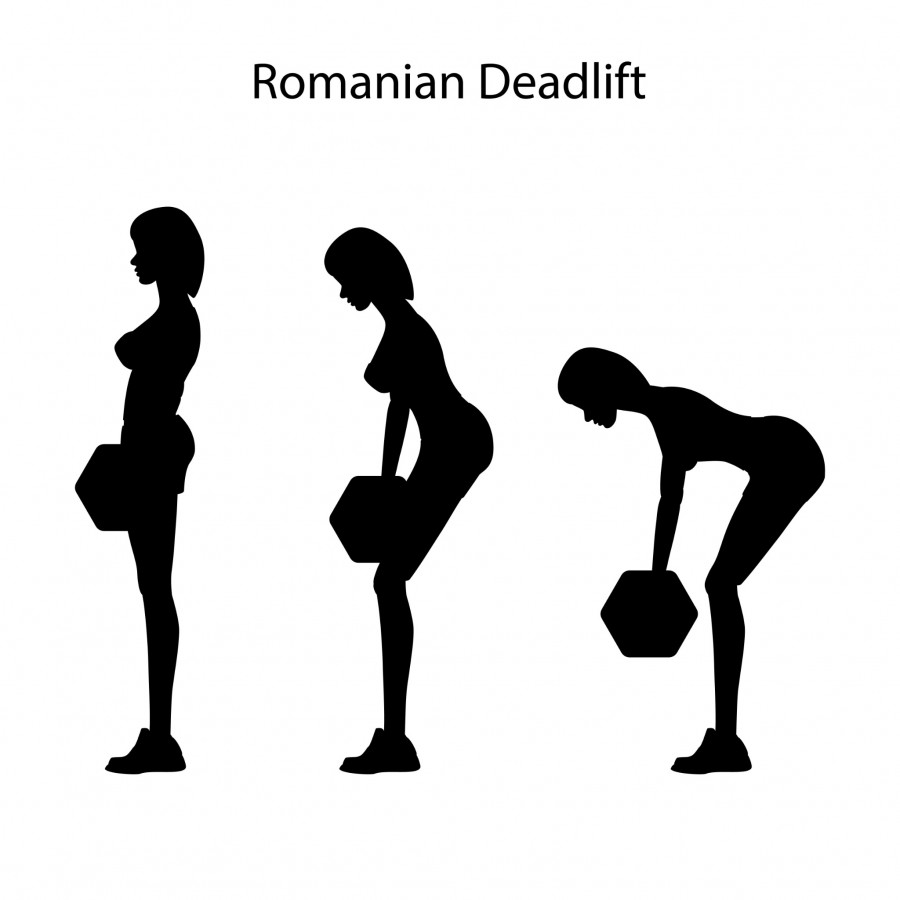 Quels sont les muscles sollicités lors d'un soulevé de terre roumain ?